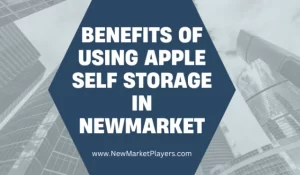 Read more about the article Using Apple Self Storage in Newmarket