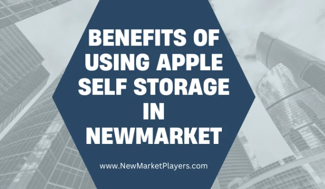 Read more about the article Using Apple Self Storage in Newmarket