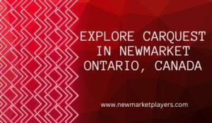 Read more about the article Explore Carquest in Newmarket Ontario, Canada